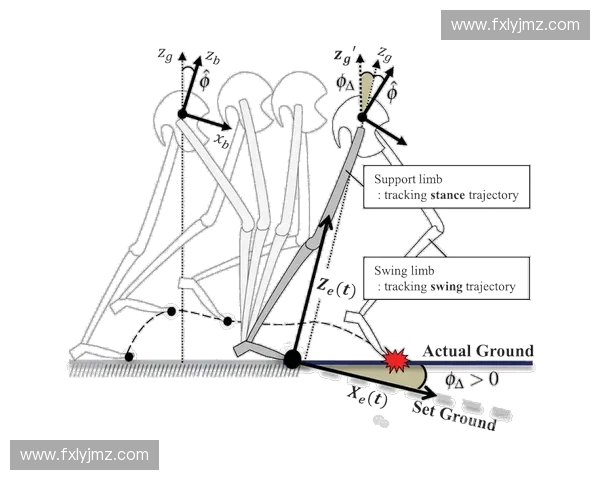 运动科学驱动下的人体机能优化与训练表现提升路径研究综合策略探索